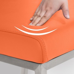 Scaun de sufragerie Colmar